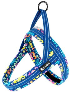 cocomall 2025ŐVAɗDn[lX TRUE LOVE{X pn[lX p hbO ybgpi 3Mˍޗ P lIvf ^A^A^Ɍ ʋC ߉\ Ă