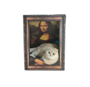 iU̔΂ Lp܂ƂnEX fUC̔Lxbh ܂ƂQXy[X L̒ ܂Ƃ{[h _{[ XgX _{[ Sy ˂ ߂Ƃ ܌