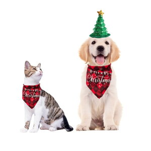 Pvkyo ybg킢ZbgXqOpXJ[tZbgLRX`[RXvߑLqXqNX}Xa