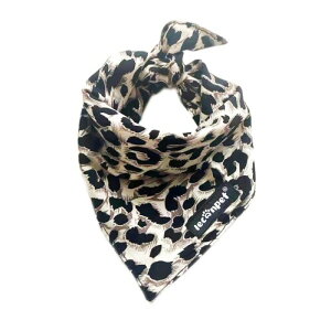 Leconpet o_iXJ[t^^p\tggCAOqLo_i悾ꂩ (qE, M)