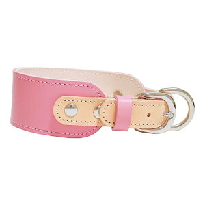 Beanspet { {v p L kv ^ ^ TCgnEh S݌v J[ hbOJ[ (sN, L)