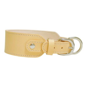 Beanspet { {v p L kv ^ ^ TCgnEh S݌v J[ hbOJ[ (i`, M)