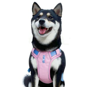 Fapayeep  n[lX p h~ TCY\ ^ ^ ^  [  ybg Č Hc n[lX E Ԕ ȒP U CǂɗD(sN, S)