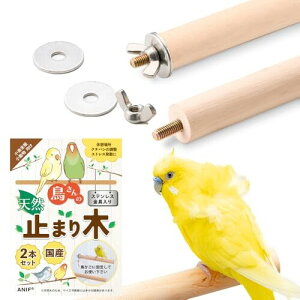 ANIF ̎~܂ YXeXt 2{g (؍ސF, ݖ2cm×16cm)