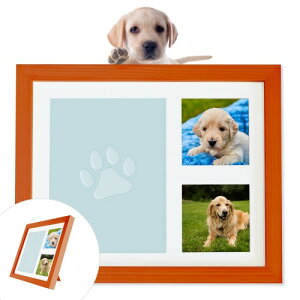 THEN AtHgt[  L a₨ʂ̎vo ^ v[gɂ ʐ^ Ao ˂yt ybgG ybgObY