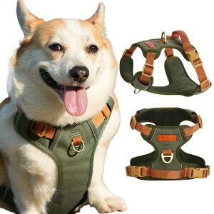 Paipeper  n[lX ^n[lX ^n[lX ^n[lX p  hbOEGA h~ Ԕ p \ ȒP  UiiuEX