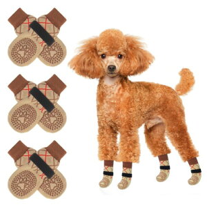 BEAUTYZOO  C ~ rߖh~ ی 6Zbg n[hEbhp hhM ]|h~ ^ ^ ^ VjAp Eɂ ی ʋC  