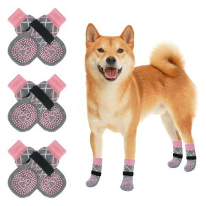 BEAUTYZOO  C ~ rߖh~ ی 6Zbg n[hEbhp hhM ]|h~ ^ ^ ^ VjAp Eɂ ی ʋC  