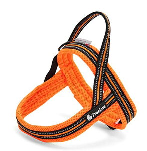 J&C Paradise ȒP n[lX {KX p SȂ 3M lC ȒP v X|[c TRUELOVE (L, IW)