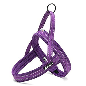 J&C Paradise ȒP n[lX {KX p SȂ 3M lC ȒP v X|[c TRUELOVE (L, p[v)