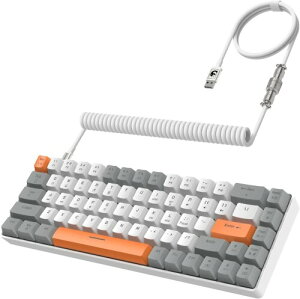 T8 L 65% JjJQ[~OL[{[h RGB LED obNCgt hՓ TKL mCY RCP[u type-c P[u {戵 Ԏ iwhitej