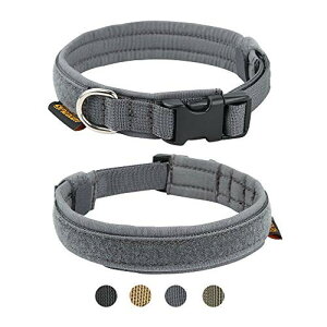 EXCELLENT ELITE SPANKER   ^ iC ^ \  Pp U   ^ ybgpi