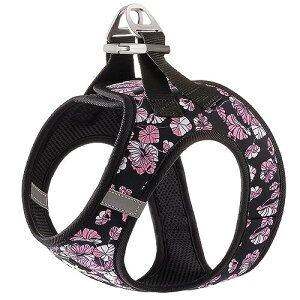 J&C Paradise  n[lX {KX y ʋC bV lC ȒP q L e TRUELOVE (M, ubN)