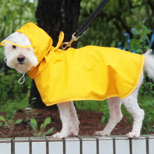  CR[g Jbp |` ybg J   ^ɑΉ h h ₷ Xqt [h ~J΍ U AEghA Č R[M[ efB (XL)