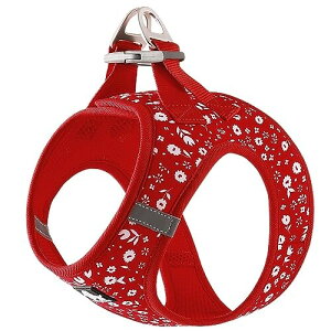 J&C Paradise  n[lX {KX y ʋC bV lC ȒP q L e TRUELOVE (M, bh)