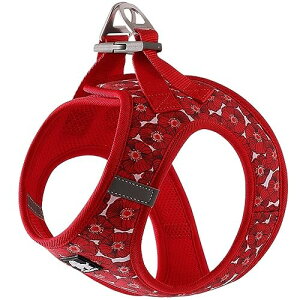 J&C Paradise  n[lX {KX y ʋC bV lC ȒP q L e TRUELOVE (XS, fB[vbh)