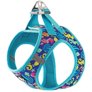 J&C Paradise  n[lX {KX y ʋC bV lC ȒP q L e TRUELOVE (XXS, V[u[)