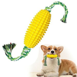 BRIIKPP ɗDTPRf ϋv̂錢p gERV̕䎲^ Η\h mߋ ̃XgX Ppߋ