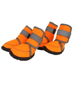 ASMPET hbOu[c  C  ی h~ ׂ ^ ^ p C t U  ی  V[Y ~ h ₷ v  C ̉h~ ЊQ̔ I