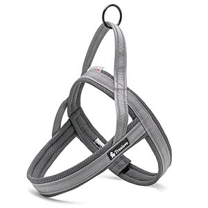 J&C Paradise ȒP n[lX {KX p SȂ 3M lC ȒP v X|[c TRUELOVE (?3S/xxxs, O[)