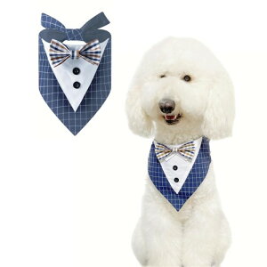 FLUFFYPET tH[}hbO^LV[ho_i ^ ^ Gv lN^C p ap `[J[ `FbN lCr[ LTCY