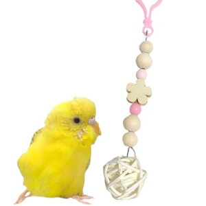 肨1 18cm { SSf VR ZLZCCR   Jt 肨 AX`bN XeX }JX ANr[Y Jt nɗD KP03: