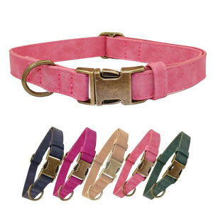 THAIN   x[VbN  v  ʂт obN ^p (sN, M)