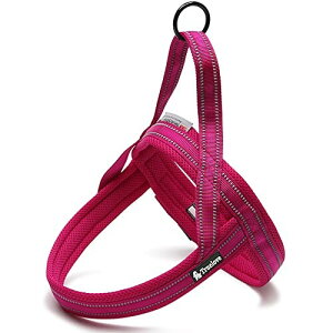 J&C Paradise ȒP n[lX {KX p SȂ 3M lC ȒP v X|[c TRUELOVE (S, sN)