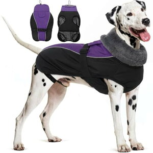 IECOii   _EWPbg phR[g g Ȃ ^[glbN  hxXg   ~ \ EȒP ˃Xgbv h h ^Kp p[v 2XL