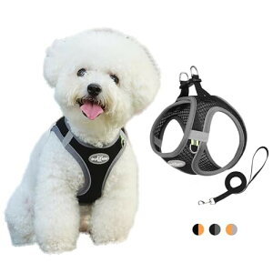ハーネス 小型犬 中型犬 調節可能 メッシュ通気性 犬 ハーネス 引っ張り防止抜けない 簡単着脱 犬用ハーネス、散歩 犬用胴輪リードセット 子犬 犬ハーネス (ブラック、M)