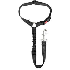 geneX  L V[gxg  V[g [h Ԑp[h \ ȒP Lk ˑ (ubN)