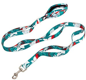 cocomall Zӏnhp[h ^A^A^p Pp O[h ybgpi iC ʋC ߉\ bVybg(blue&red,M)