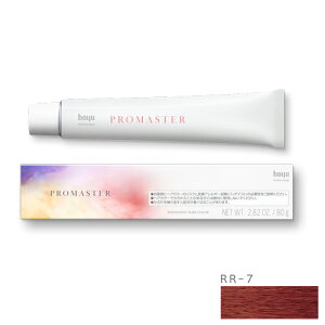 z[[ v}X^[ RR-7 r[bh 80g