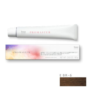 z[[ v}X^[ E BR-6 GtFNgx[W 80g