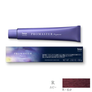ホーユー プロマスター ピグメント R-6P ルビー 80g