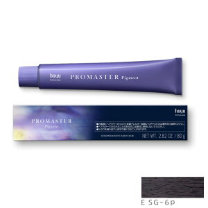 z[[ v}X^[ sOg ESG-6P GtFNgX[NO[ 80g