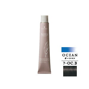 �V�������c�R�t �e�� by �G�b�Z���V�e�B �I�[�V�����u���E�� 7-OC.B 85g (1��)