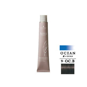 �V�������c�R�t �e�� by �G�b�Z���V�e�B �I�[�V�����u���E�� 9-OC.B 85g (1��)