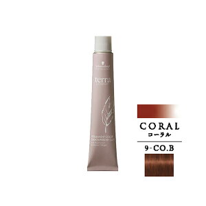 �V�������c�R�t �e�� by �G�b�Z���V�e�B �R�[�����u���E�� 9-CO.B 85g (1��)