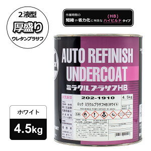 bNyCg 202-1910 bN ~NvTtHBizCgj 4.5Kg ܂̂