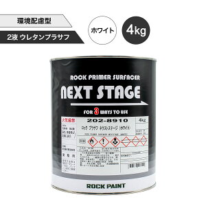 bNyCg 202-8910 bN vTt lNXgXe[WizCgj4kg