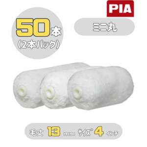 PIA ~j(я13mm) 4C` 50{(2{pbN) ~jX[[[ 930-1013-54 s[ACG[