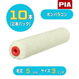 PIA {pSiя5mmj~jX[[[3C` 10{(2{pbN) 906-M305-13 s[ACG[