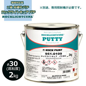 bNyCg bNCgLA pe30 2kg dpe 951-0109-02  Ή^ 1t ROCKLIGHTCURE PUTTY ROCKPAINT