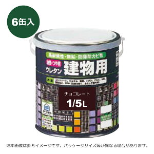 ���b�N�y�C���g �����E��L�E���^�������p �`���R���[�g 1/5L 6�ʓ��� H06-1609