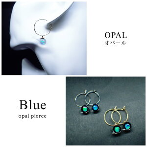 Ip[sAX Blue n t[vsAX KXsAX IC   a lCi Ip[sAX Ip[ANZT[jZbNX yA F 󐯃Mtg a