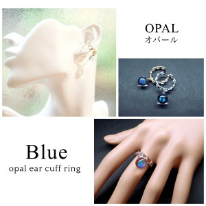 Ip[ C[Jt O Blue n KXO w C[Jt IC   a lCi Ip[ANZT[jZbNX yA F 󐯃Mtg a NX