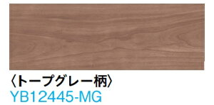 (g[vO[FYB12445-MG)匚HƁ@uIgJ45IV@147^Cv@LL-45h\菰ށ@g[Ή@TCYF12.3x147×905i~j24@艿76450@kCAyї