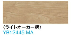 (CgI[J[FYB12445-MA)匚HƁ@uIgJ45IV@147^Cv@LL-45h\菰ށ@g[Ή@TCYF12.3x147×905i~j24@艿76450@kCAy