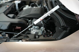 コルトスピード （COLT SPEED） エクリプス全車（GK1W /GK9W）ボンネットダンパー 品番：CSD0109-015